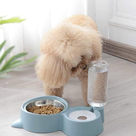 2-in-1 Automatic Pet Feeder & Water Dispenser