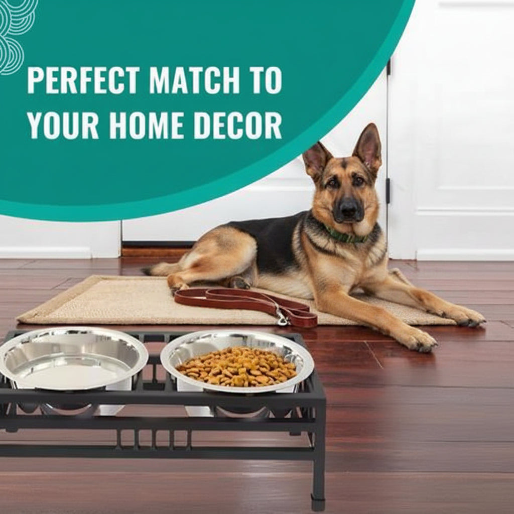 Elevated Double Pet Feeder Bowls with Metal Stand