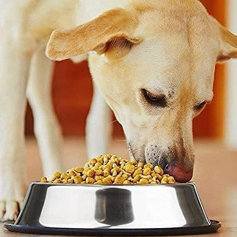 Premium Stainless Steel Anti-Skid Pet Bowl