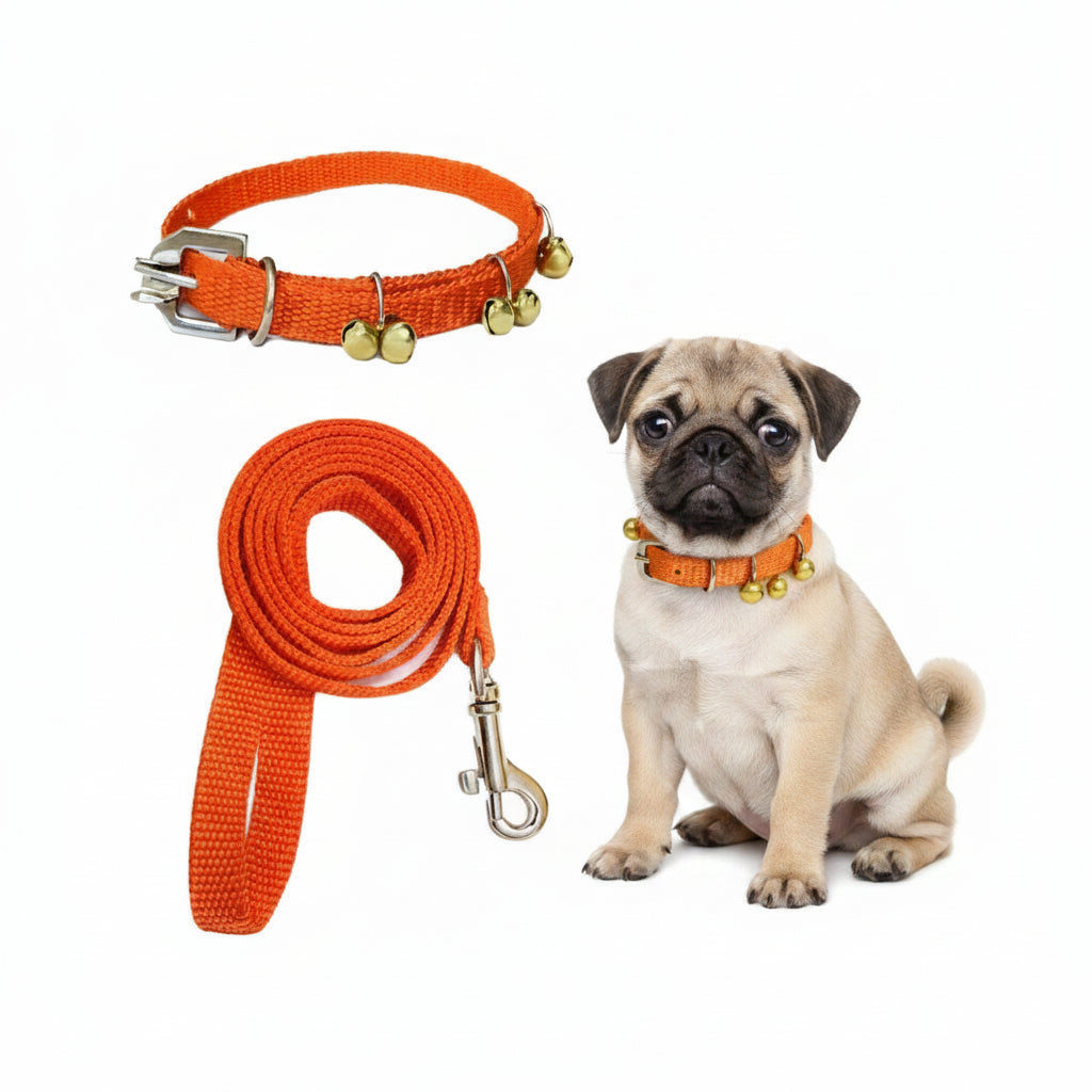 Adjustable Nylon Dog Collar and Leash Set with Miniature Bells
