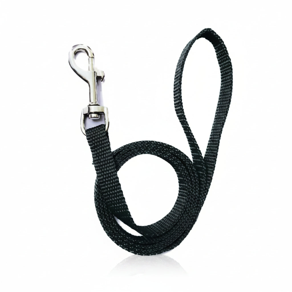 Adjustable Nylon Dog Collar and Leash Set with Miniature Bells