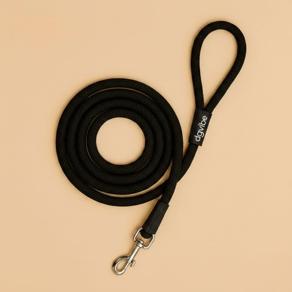 Adjustable Nylon Dog Collar and Rope Leash Set
