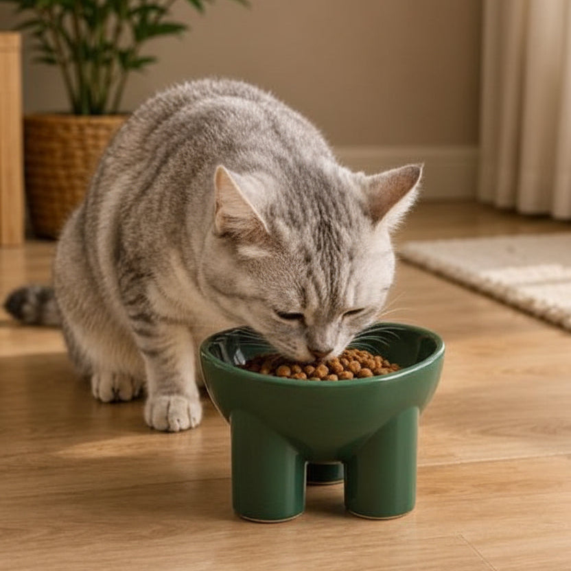 Tilted Raised Anti-Vomiting Bowl