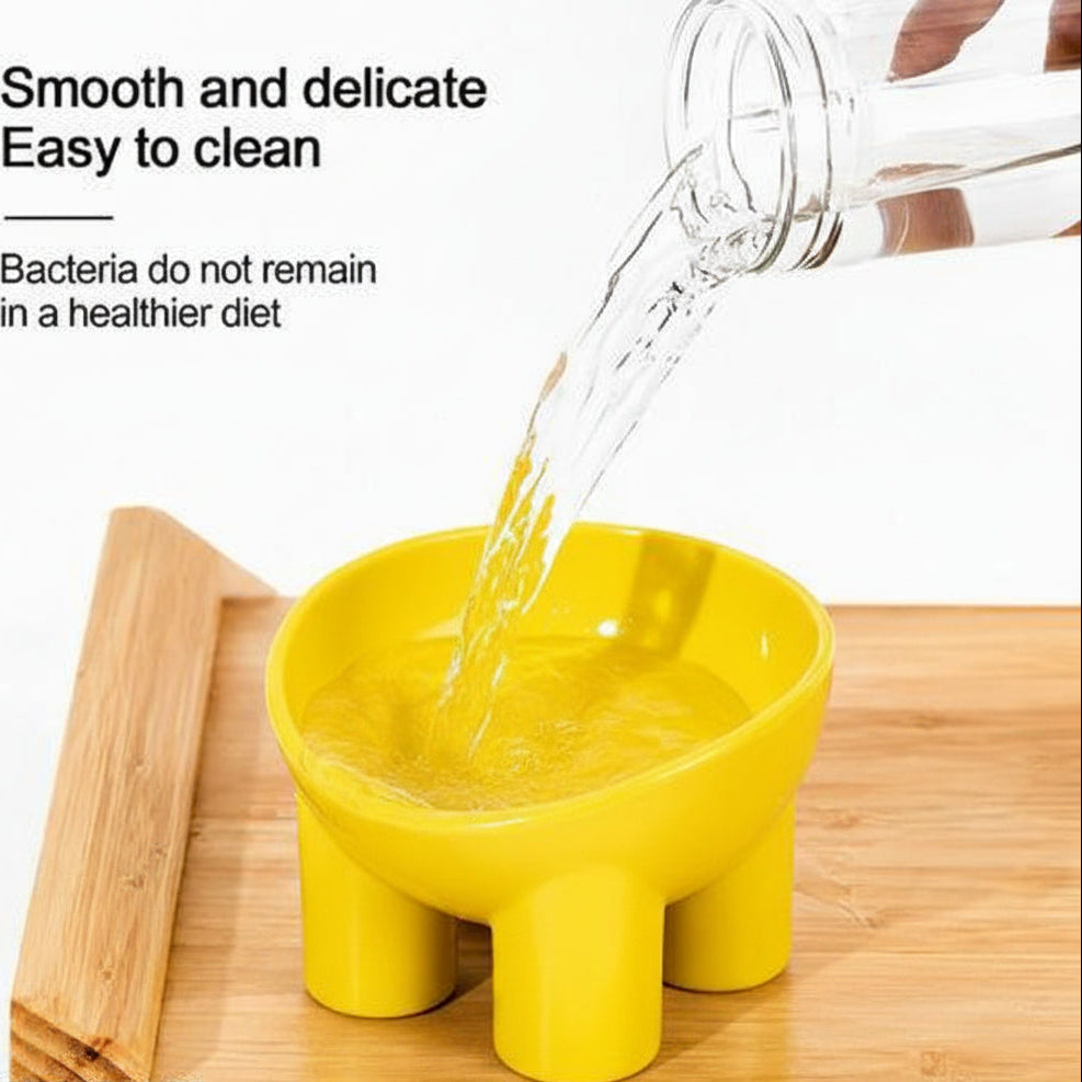 Tilted Raised Anti-Vomiting Bowl