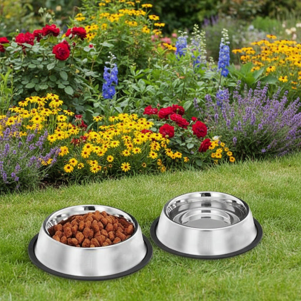 Heavy-Duty Stainless Steel Pet Bowls (Set of 2)